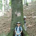 phoca_thumb_m_veverky v lese 6 Fotogalerie